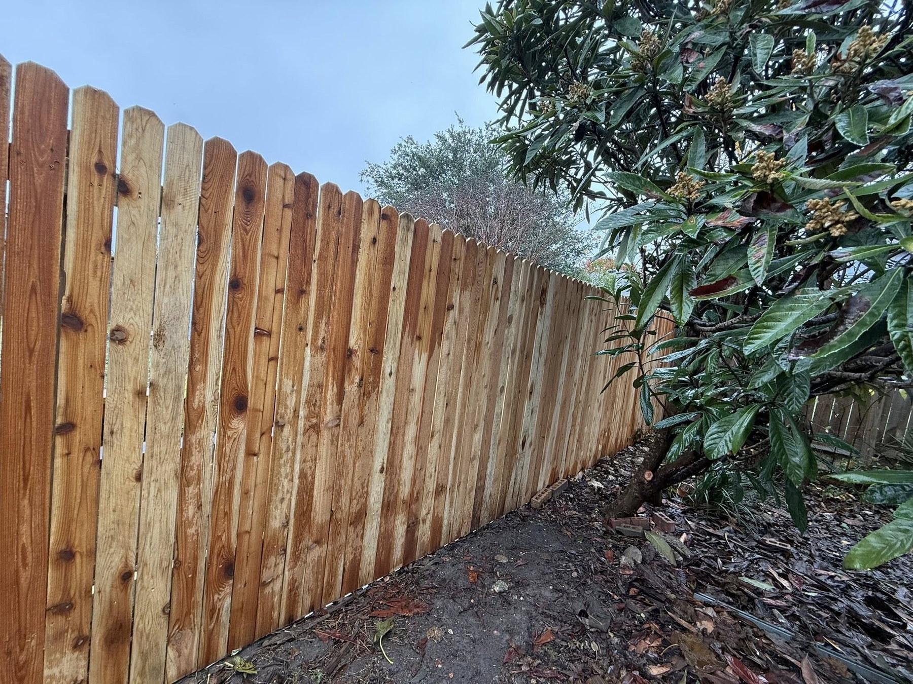 Tall vertical cedar privacy fence