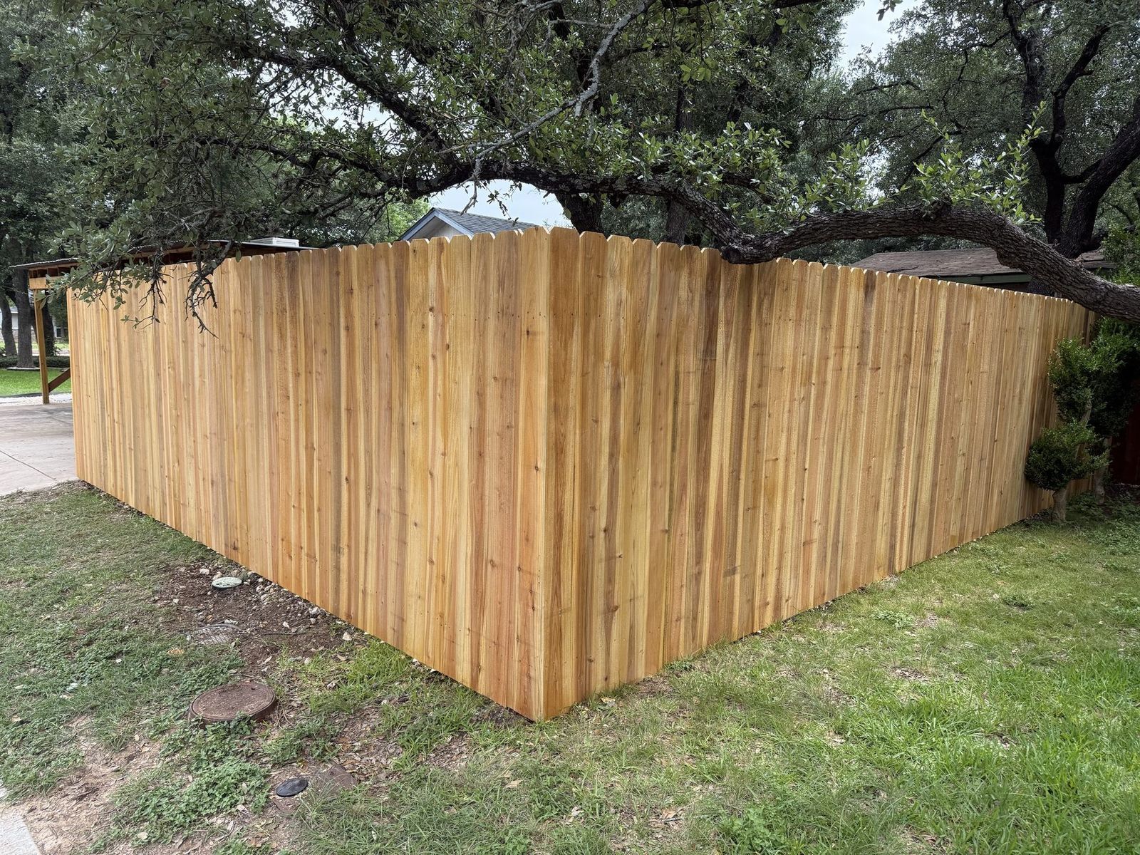 New cedar privacy fence wrapping a corner of a yard beneath mature live oaks in Austin, TX