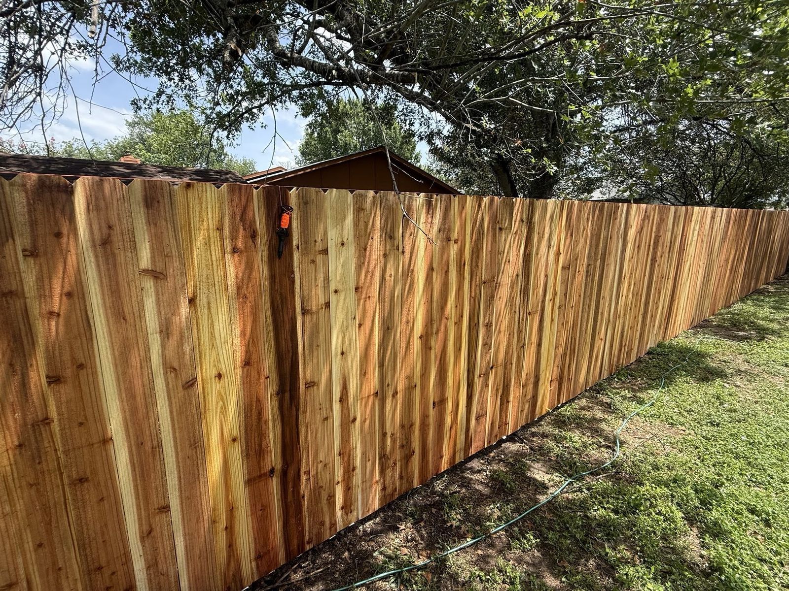 Fresh cedar privacy fence showing natural grain and color variation across the pickets, Austin TX