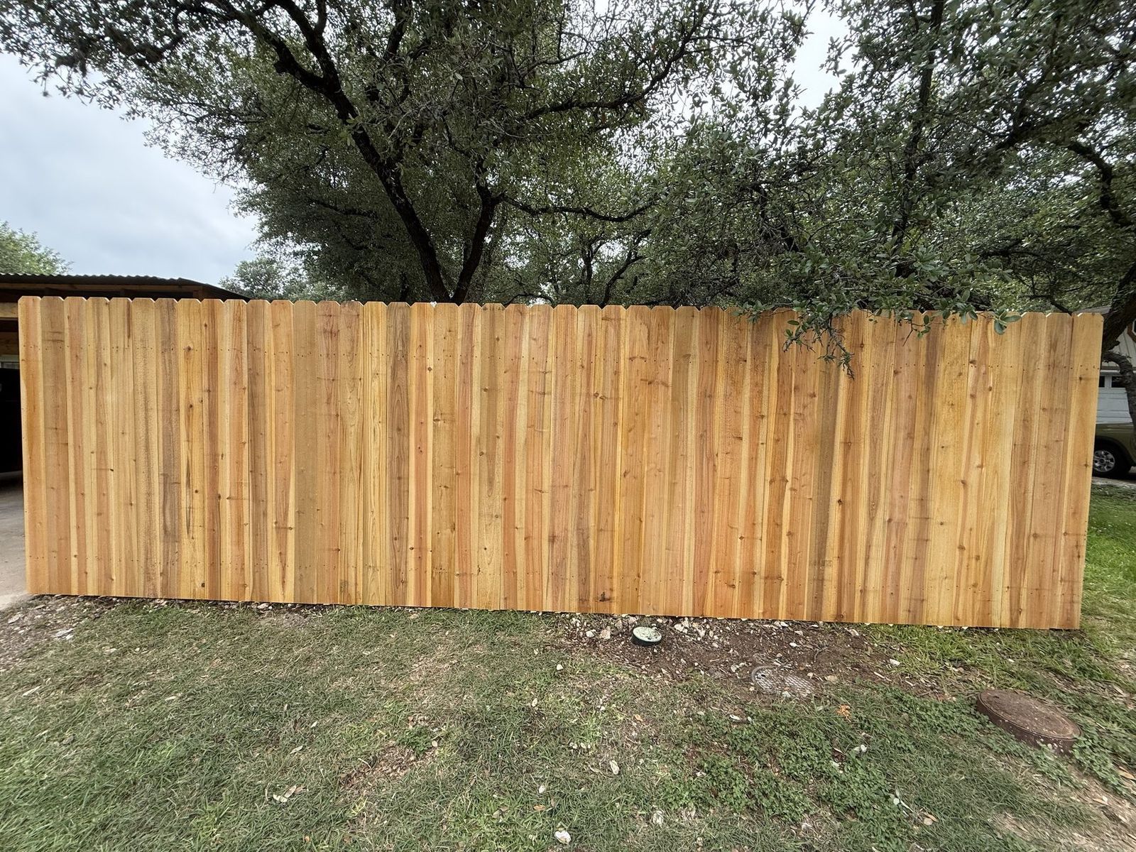 Long straight run of new dog-ear cedar privacy fence along a shaded Austin, TX yard