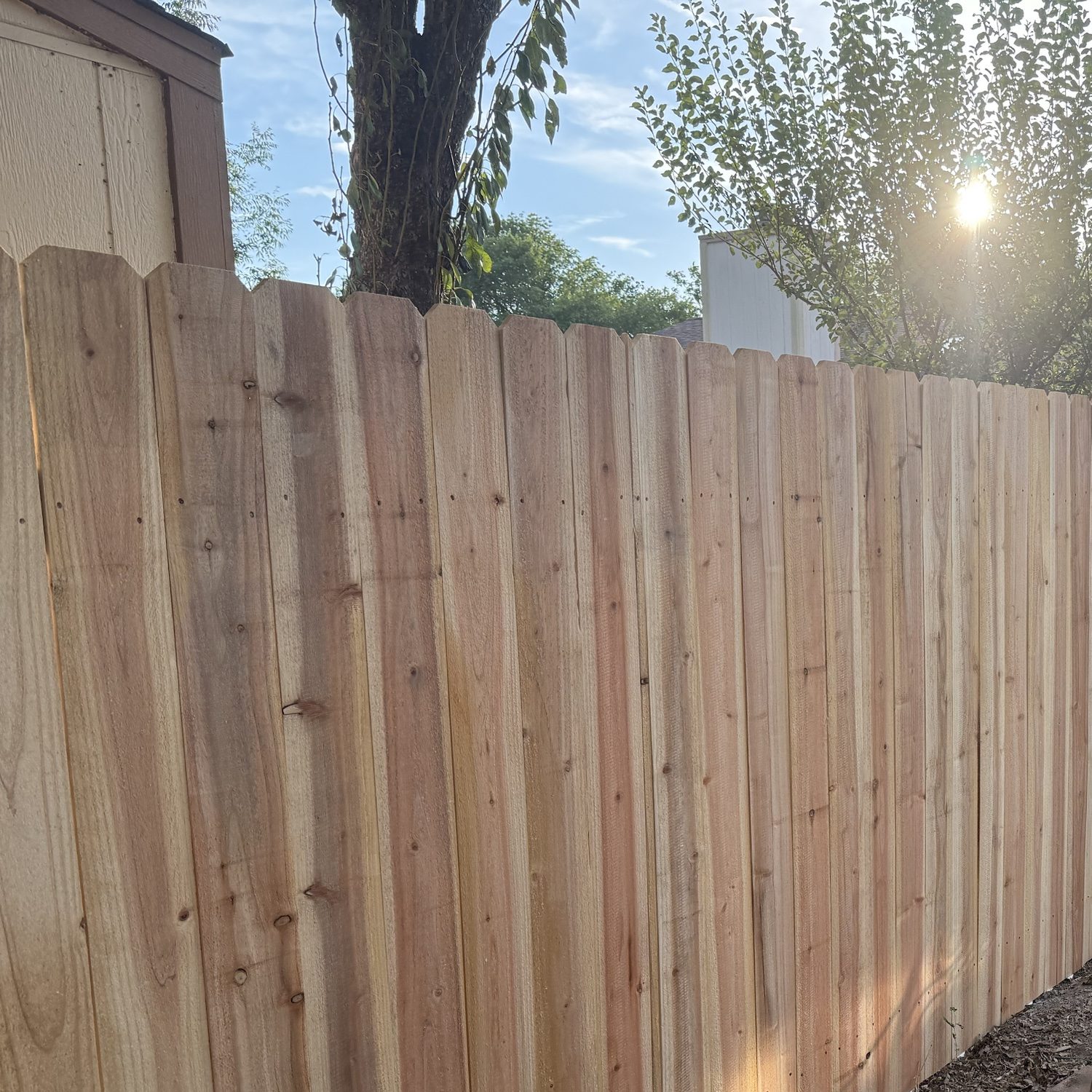 New cedar privacy fence photographed at sunset in Austin, TX