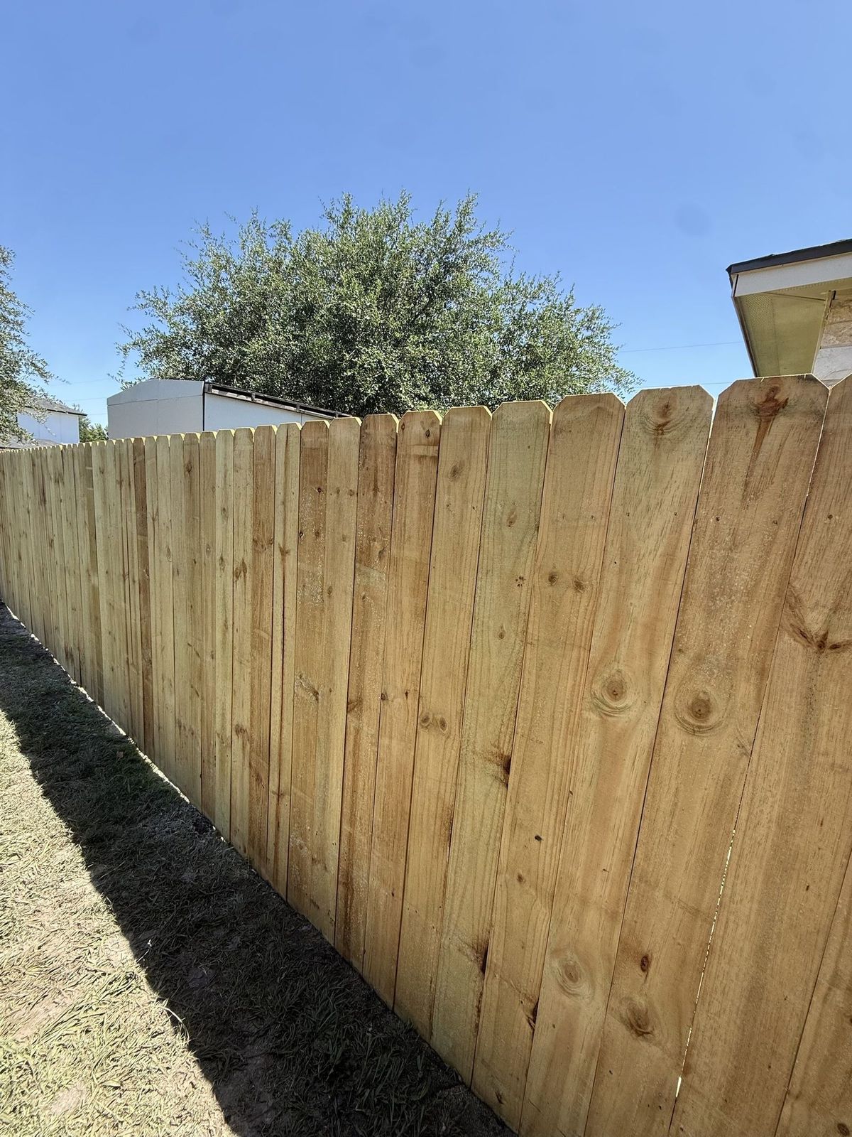 Pressure-treated pine dog-ear privacy fence installed along a property line in greater Austin, TX