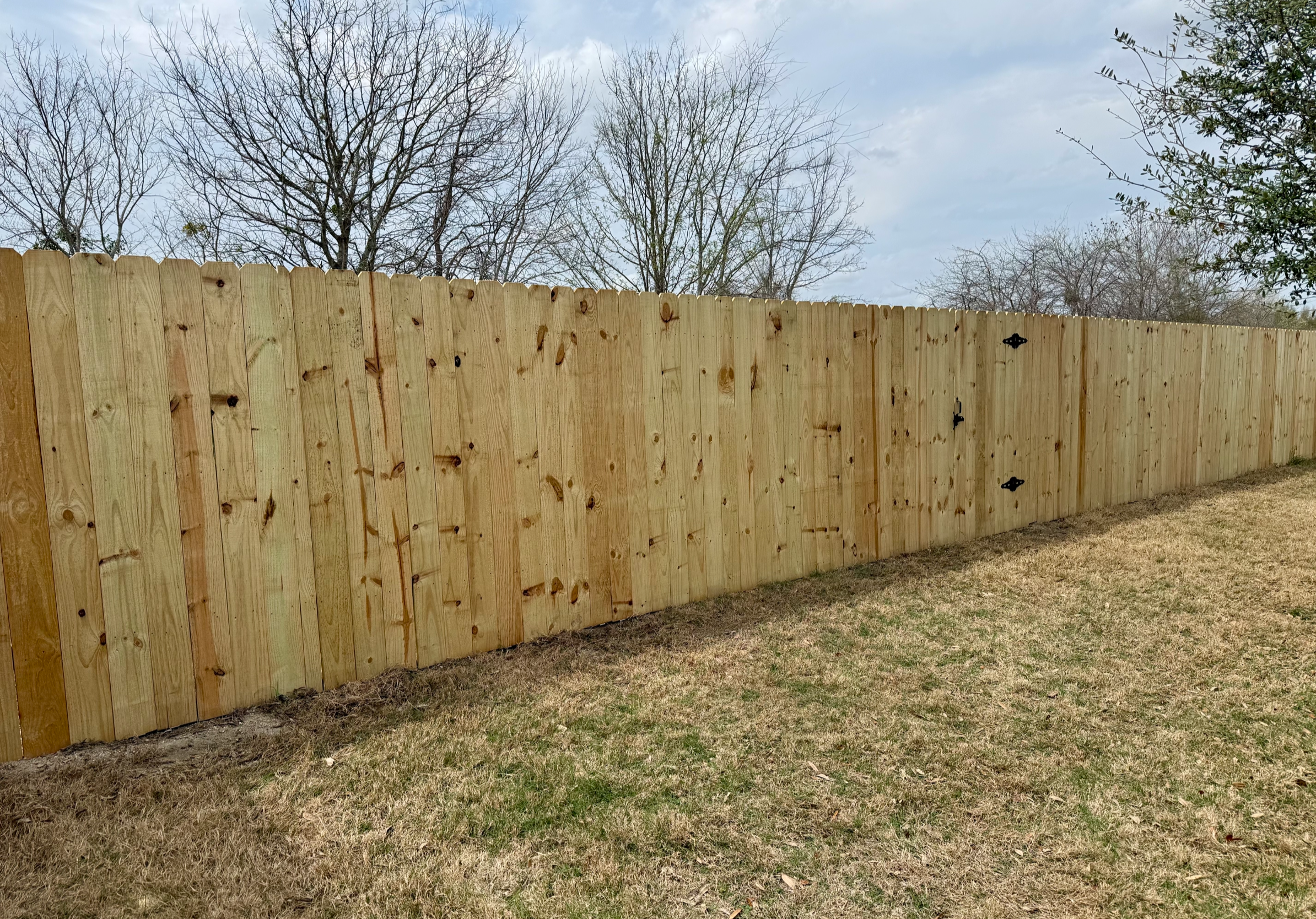 Pressure-treated privacy fence in Austin, TX